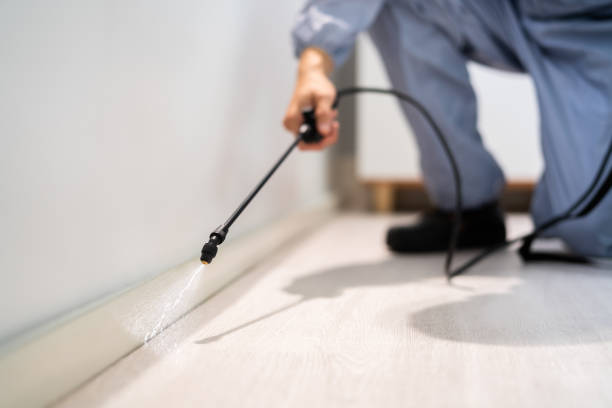 Rodent Entry Point Assessment in Nacogdoches