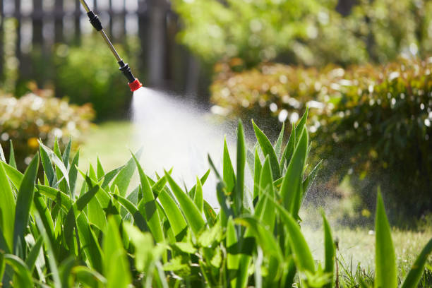 Tamper-Resistant Bait Stations for Rodents in Nacogdoches