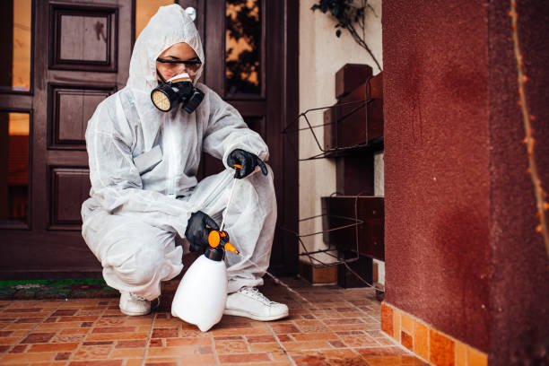 Attic and Crawl Space Rodent Treatment in Nacogdoches