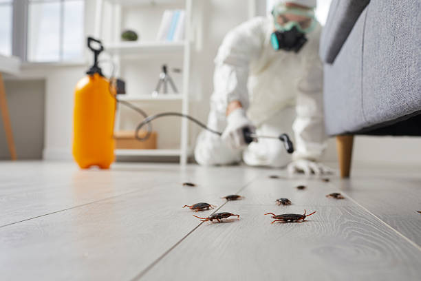 Commercial Rodent Management in Nacogdoches